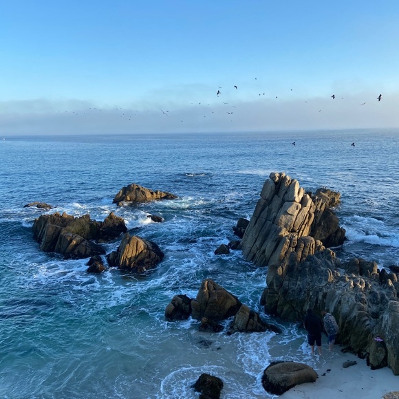 Meet your Posher, Darla - Picture 1 of 1